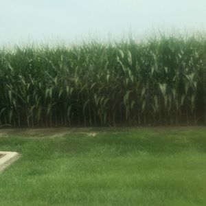 Meet your Posher, Trevor